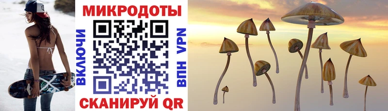 Псилоцибиновые грибы MAGIC MUSHROOMS  магазин продажи   Анива 